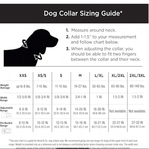 YOULY The Extrovert Water-Resistant Teal & Pink Colorblocked Dog Collar - Picture 3 of 3